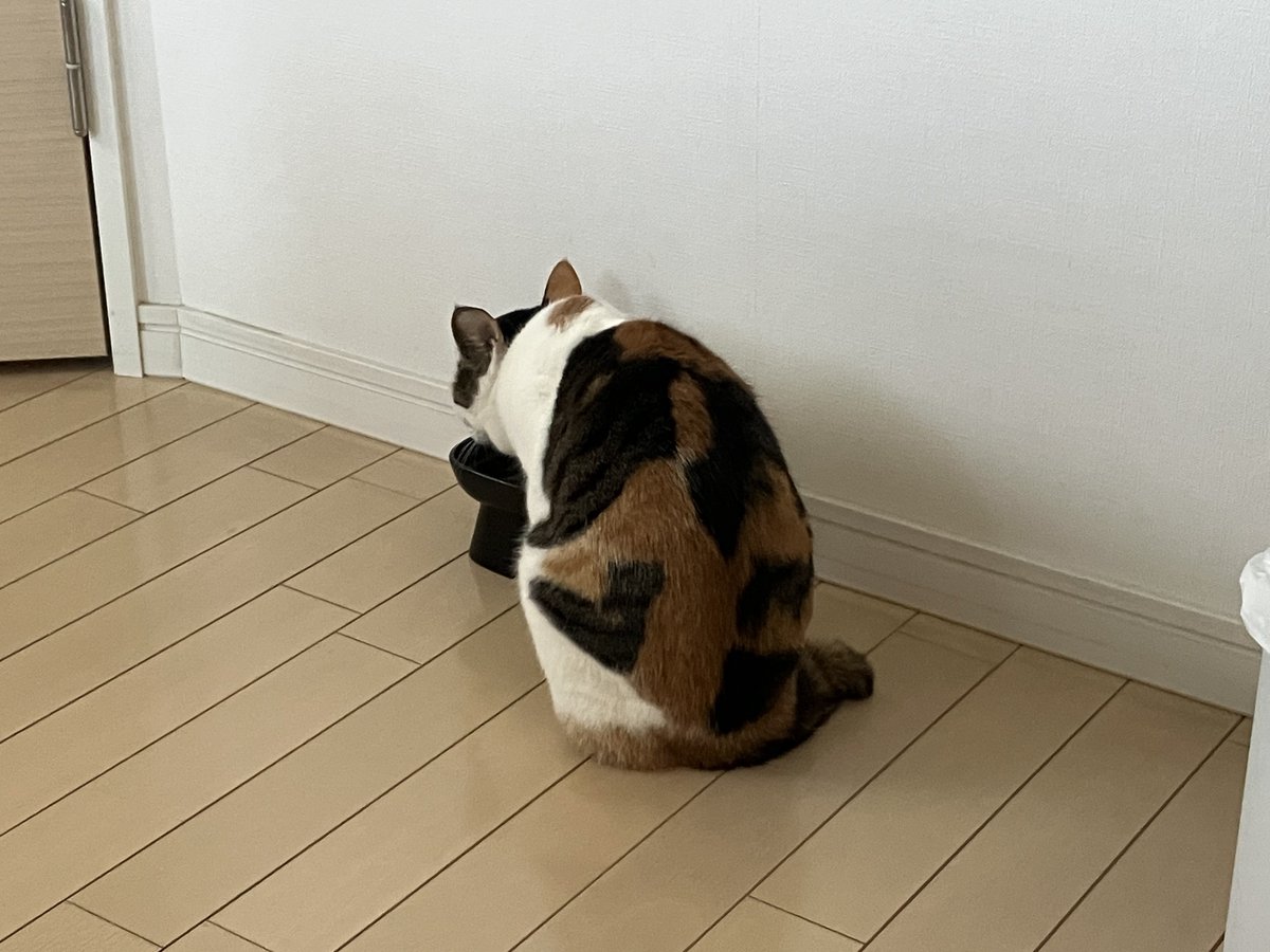 寒くっても #お水飲もうねー