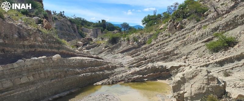 INAHmx's tweet image. #BoletínINAH 🗞️ Confirman presencia de huellas de diversos dinosaurios dentro de la Reserva de la Biosfera Tehuacán-Cuicatlán

• A raíz de denuncias de pobladores, se realizaron inspecciones en los municipios poblanos de Atexcal y Tehuacán

Entra a: inah.gob.mx/boletines/conf…
