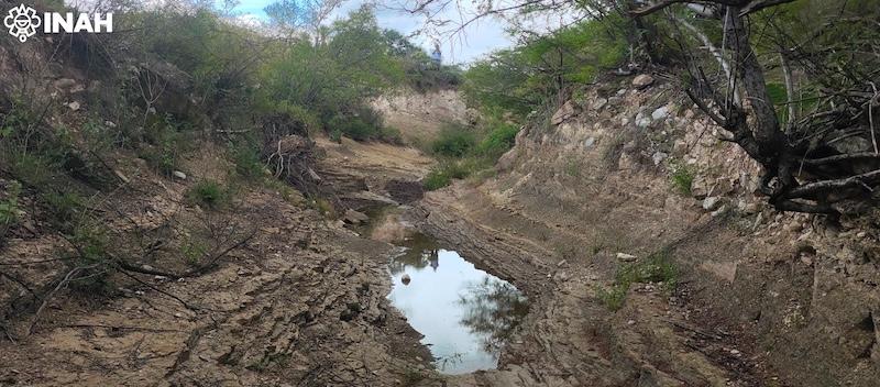 INAHmx's tweet image. #BoletínINAH 🗞️ Confirman presencia de huellas de diversos dinosaurios dentro de la Reserva de la Biosfera Tehuacán-Cuicatlán

• A raíz de denuncias de pobladores, se realizaron inspecciones en los municipios poblanos de Atexcal y Tehuacán

Entra a: inah.gob.mx/boletines/conf…