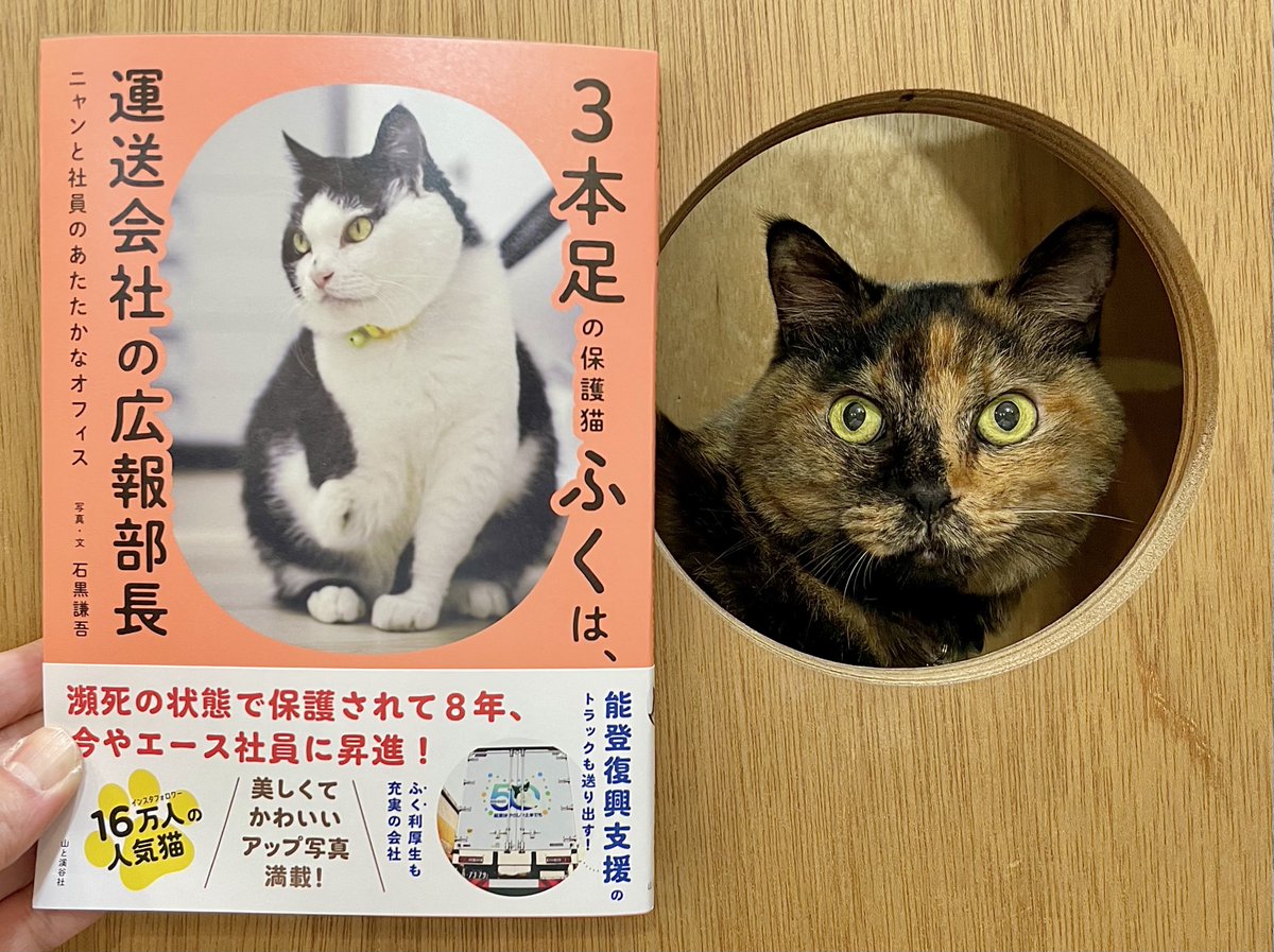 3本足の保護猫ふく😼広報部長 (@fuku_bucho_cat) / Posts / X