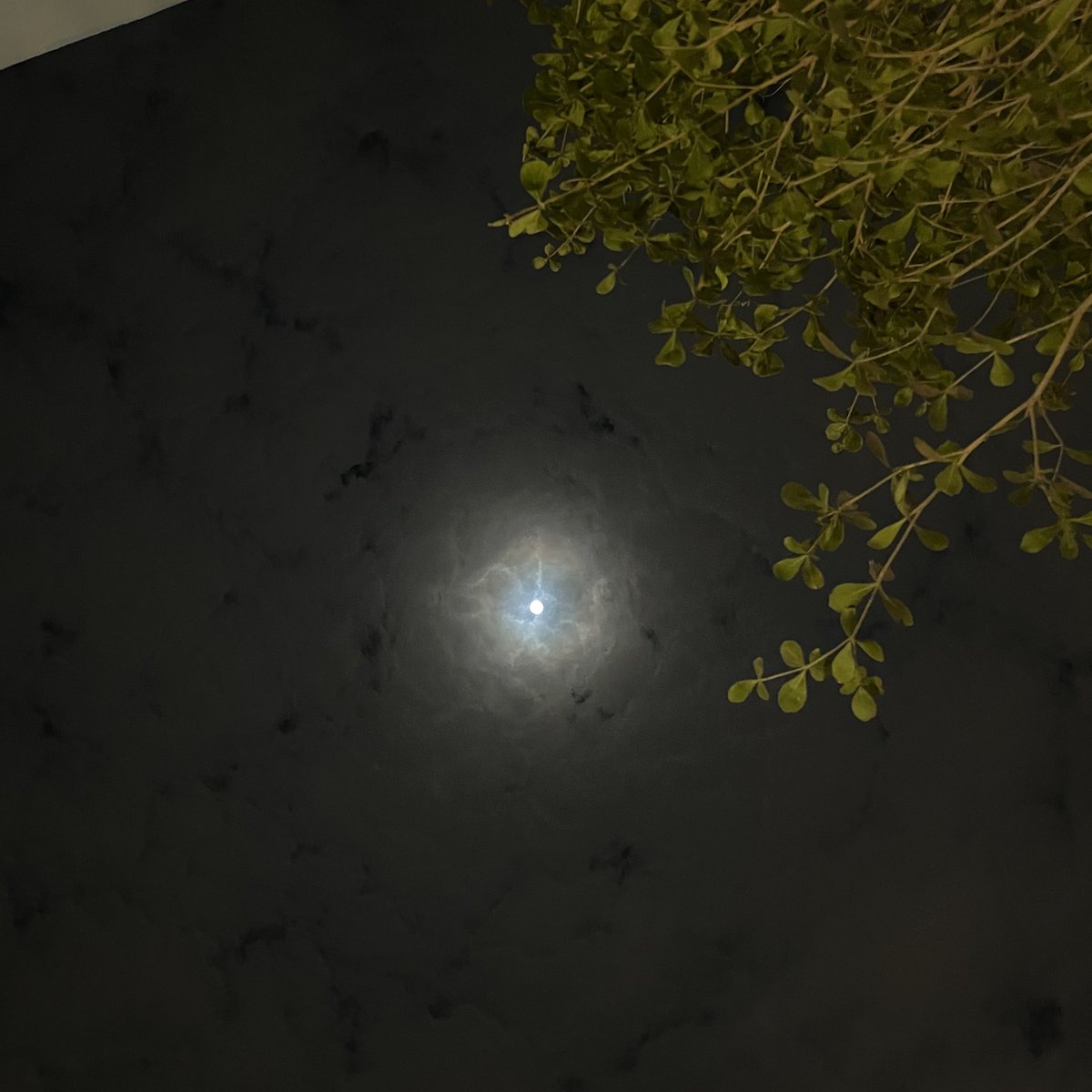 "يدّي بيدّك وهيّا تحت القمر والثريّا"