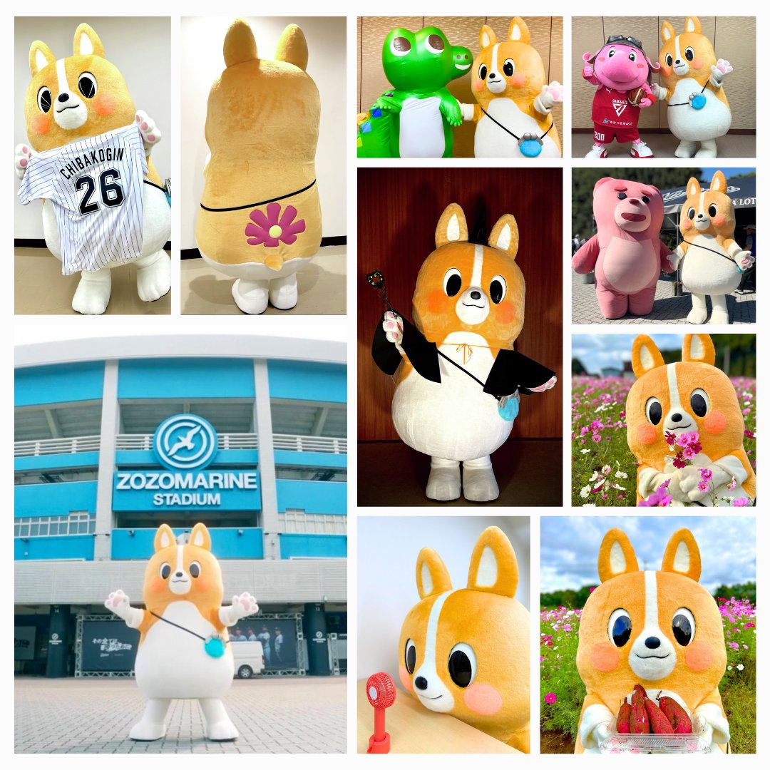 みんなおはよう！
ちばコーギーだよ🐶

今日はアルバムの日📖✨ 
今年の思い出をちょっぴりまとめてみたよ📷