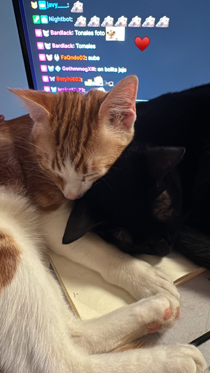 BARDLACK's tweet image. Descansa @Mayichii  pasa un buen finde y buen viaje de camino a la antigua casa tocó hacer limpieza.
5 días de extensible May y los que faltan haha',😂💜 se han pasado como agua y con buena compañia May. 
Pasa buena noche May y nos vemos el lunes, un abrazo!!! 💜💜🫂