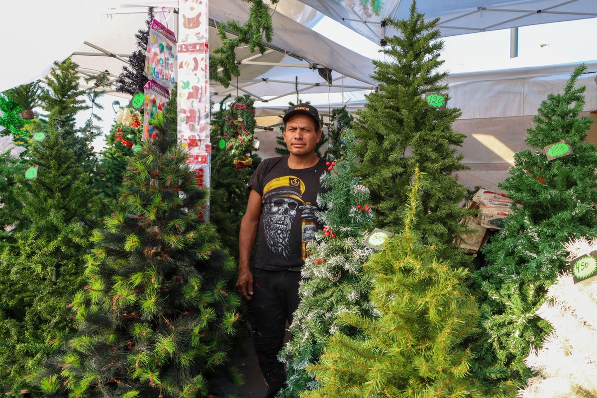 GobNeza's tweet photo. 🎄✨ Te invitamos a disfrutar de la #ExpoNavidad donde encontrarás todo lo que necesitas para vivir unas fiestas decembrinas llenas de magia.

📅 3 al 7 de diciembre
🕙 10:00 a 22:00 hrs.
📍 Explanada Municipal

¡Te esperamos!

#PorAmorANeza ❤️ https://t.co/vgfvZ0YVFS