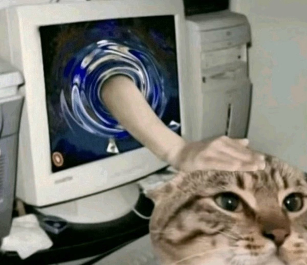 White Timothée Chalamet 🦄 tweet media