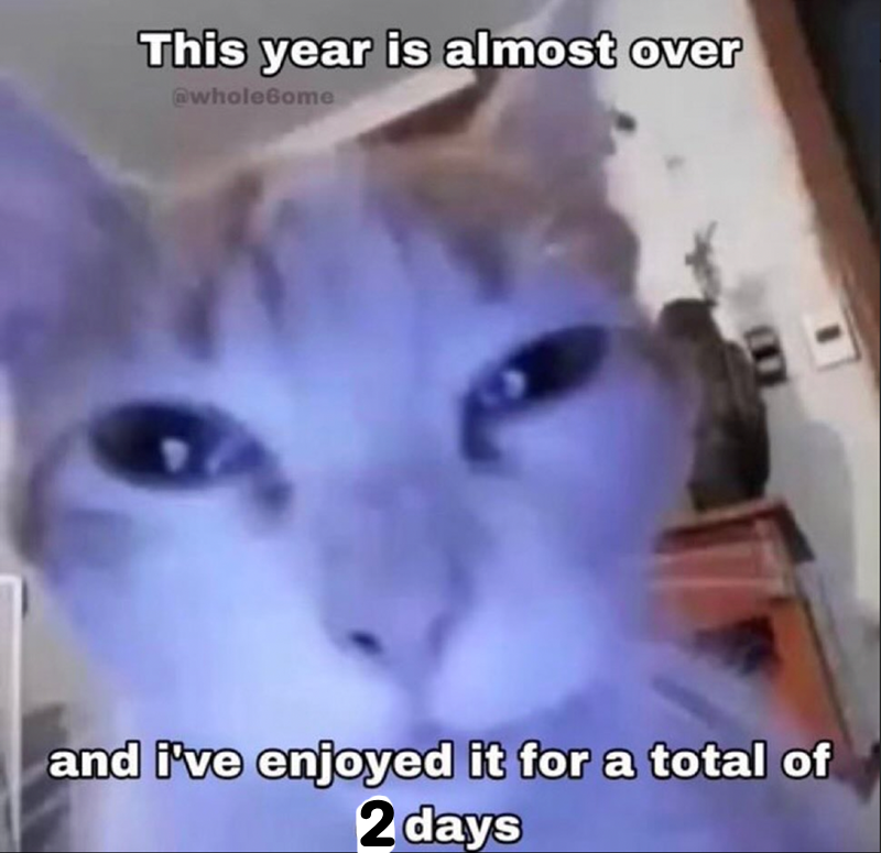 Dog With The Butter On Him tweet media