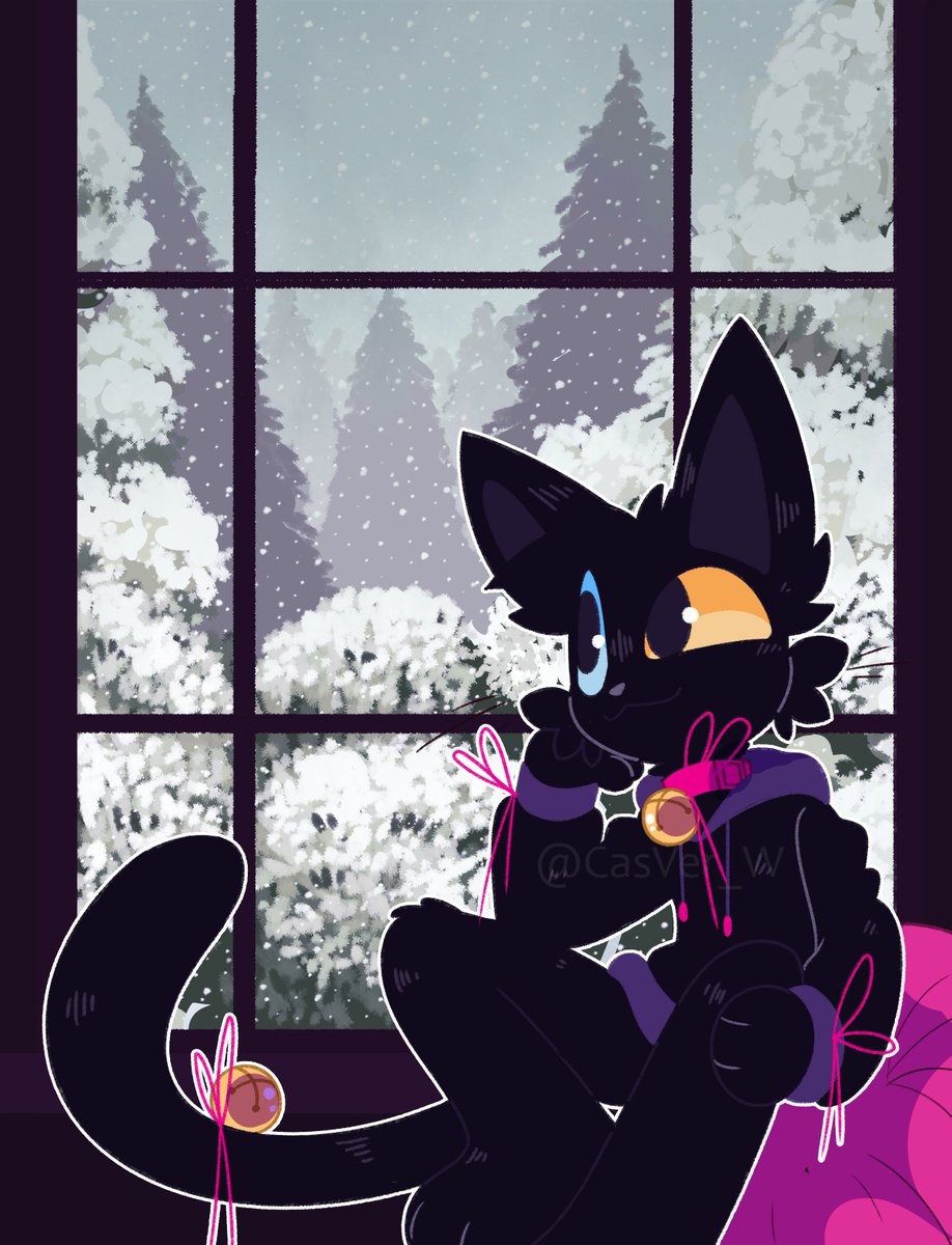 First snowy view ❄️