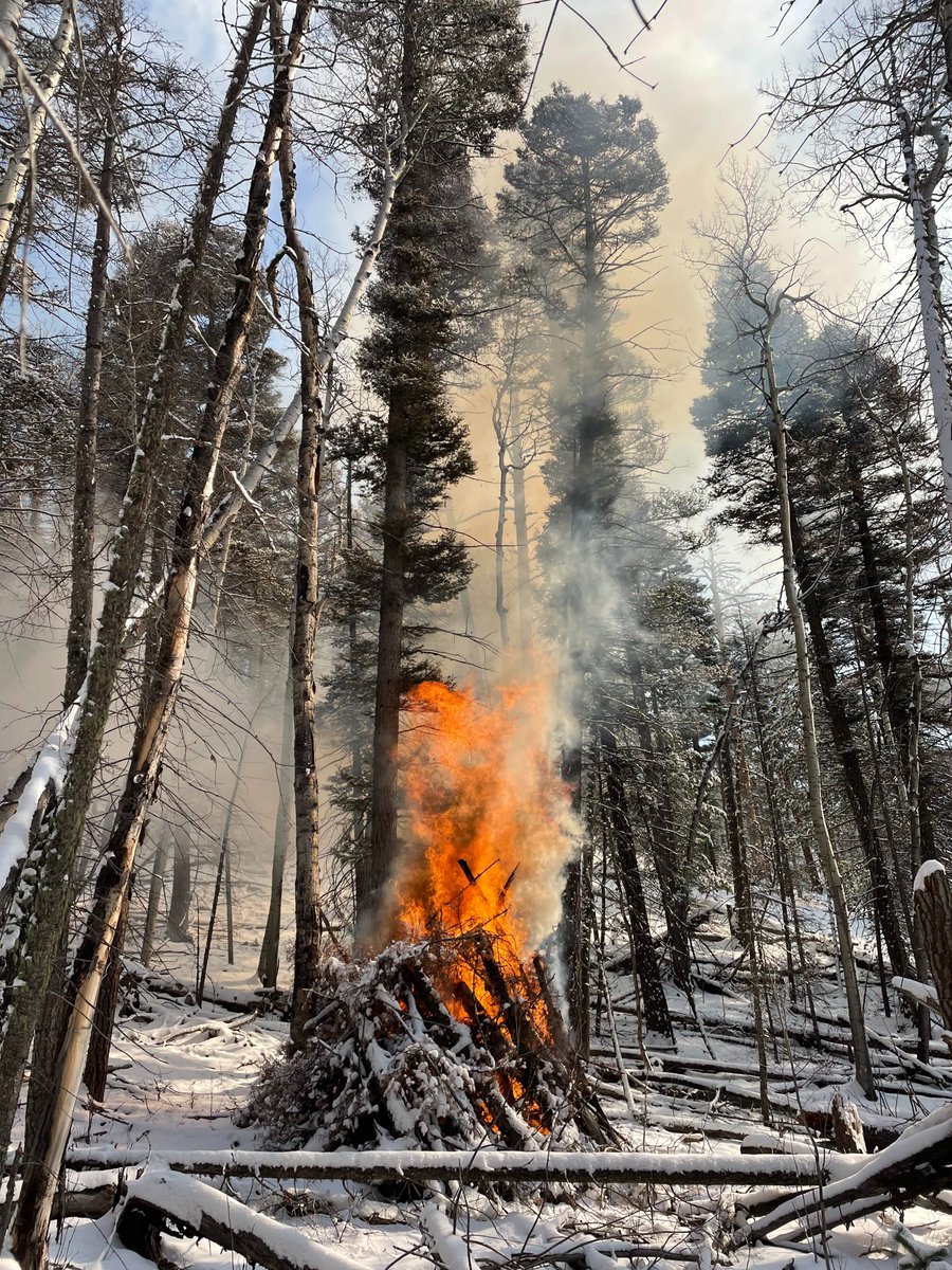 PILE BURN UPDATE

The Santa Fe National Forest received snow overnight, creating ideal conditions to continue pile burn operations.

Fire crews conducted ignitions on approximately 50 acres of the Tesuque Piles located north of Santa Fe, N.M near Hyde Park Road and Forest Road