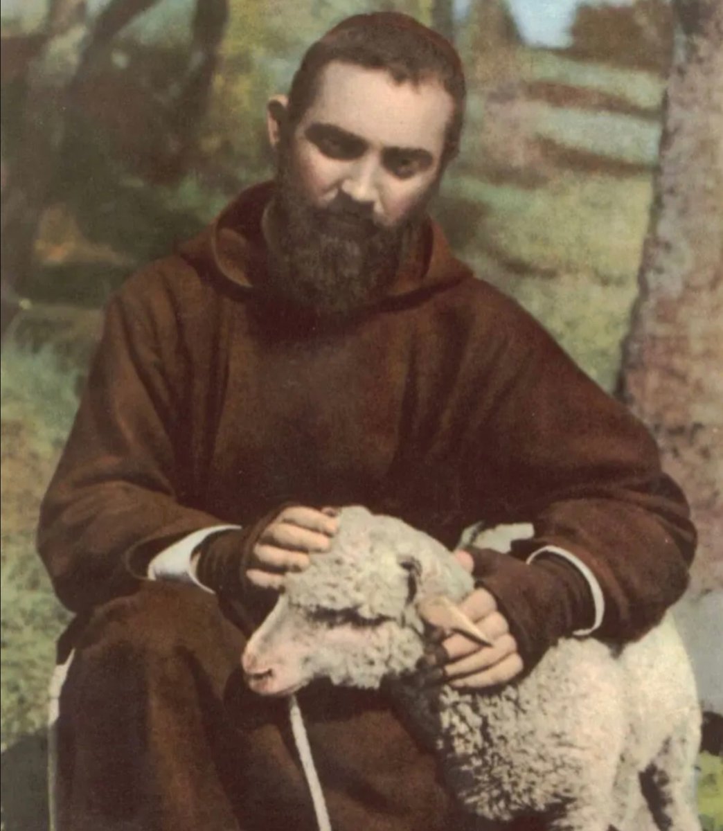 "Pray, hope, and don’t worry. Worry is useless. God is merciful and will hear your prayer.” 

- St. Padre Pio