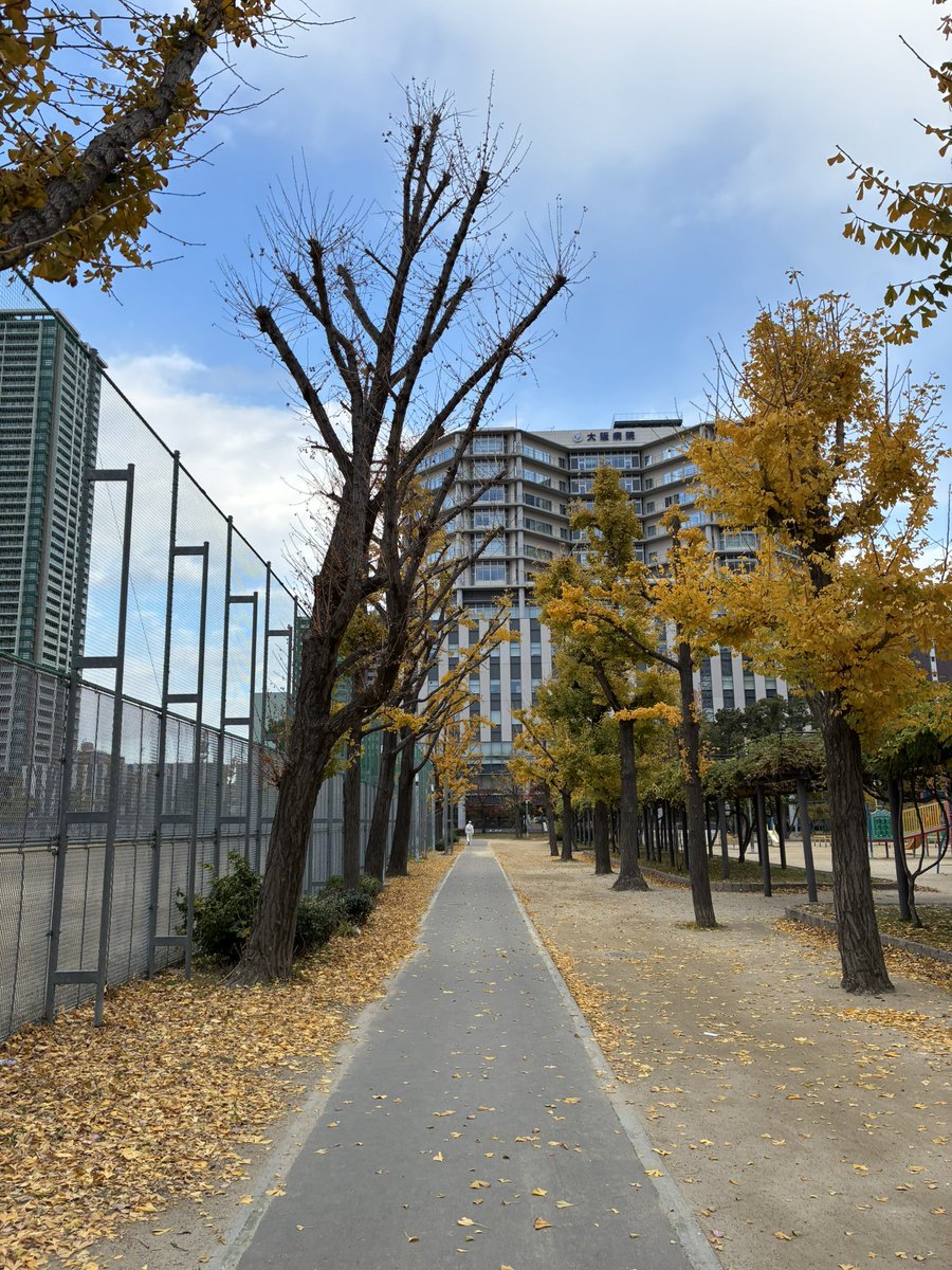 ecotriathlete's tweet photo. おはようございます⛅️今日の朝ラン🏃はasicsのMEGABLAST履いて下福島公園周回 6kmジョグ💨今日も元気に走れる事に感謝🙏MEGAのクッショニングは最高👍　　#朝ラン   #asics    #MEGABLAST   #下福島公園   #ジョグ   #感謝　#クッショニング https://t.co/W7AB9KojUl