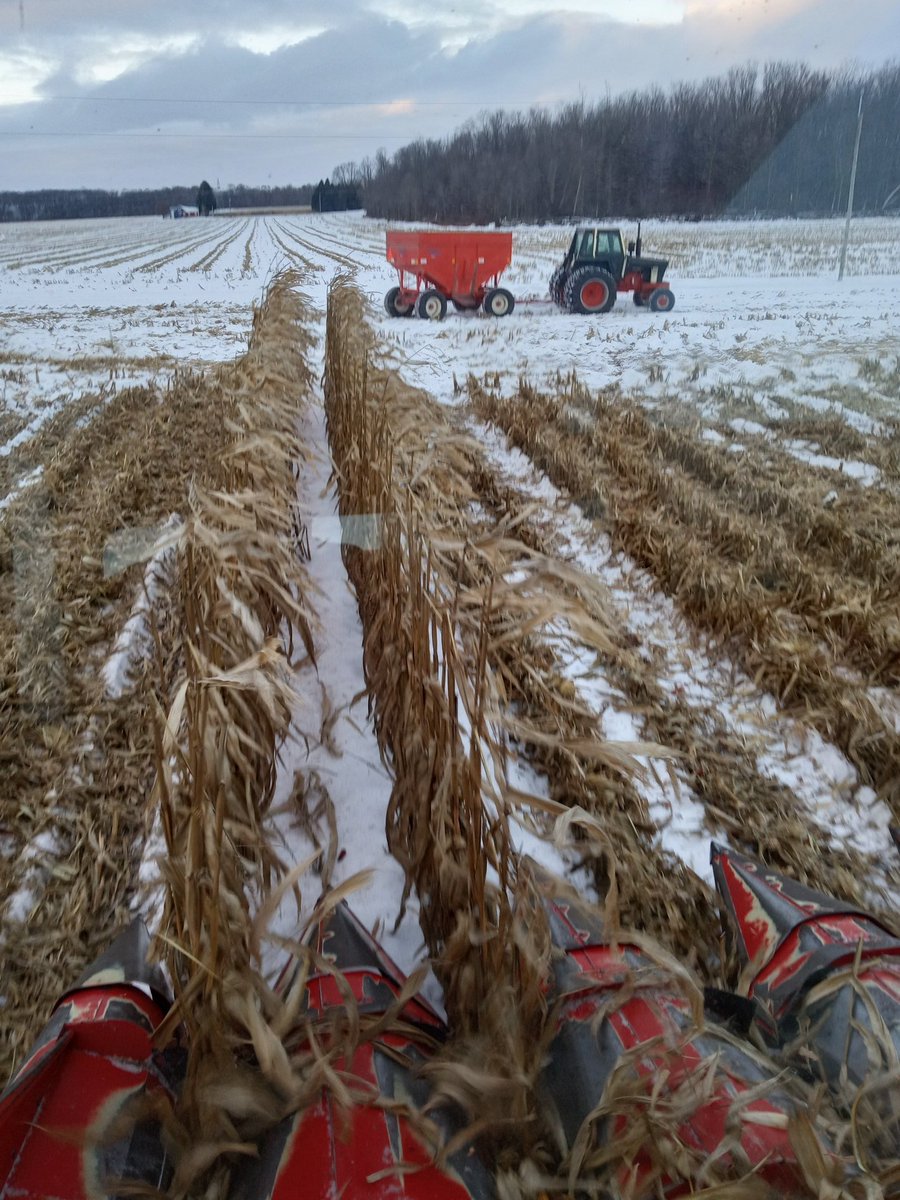 OBaigent's tweet image. Last rows for 2025