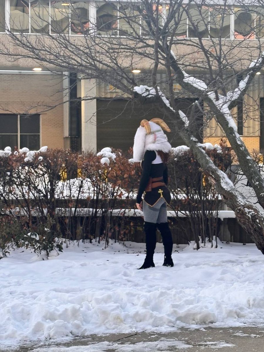 Mav Sharkie tweet media