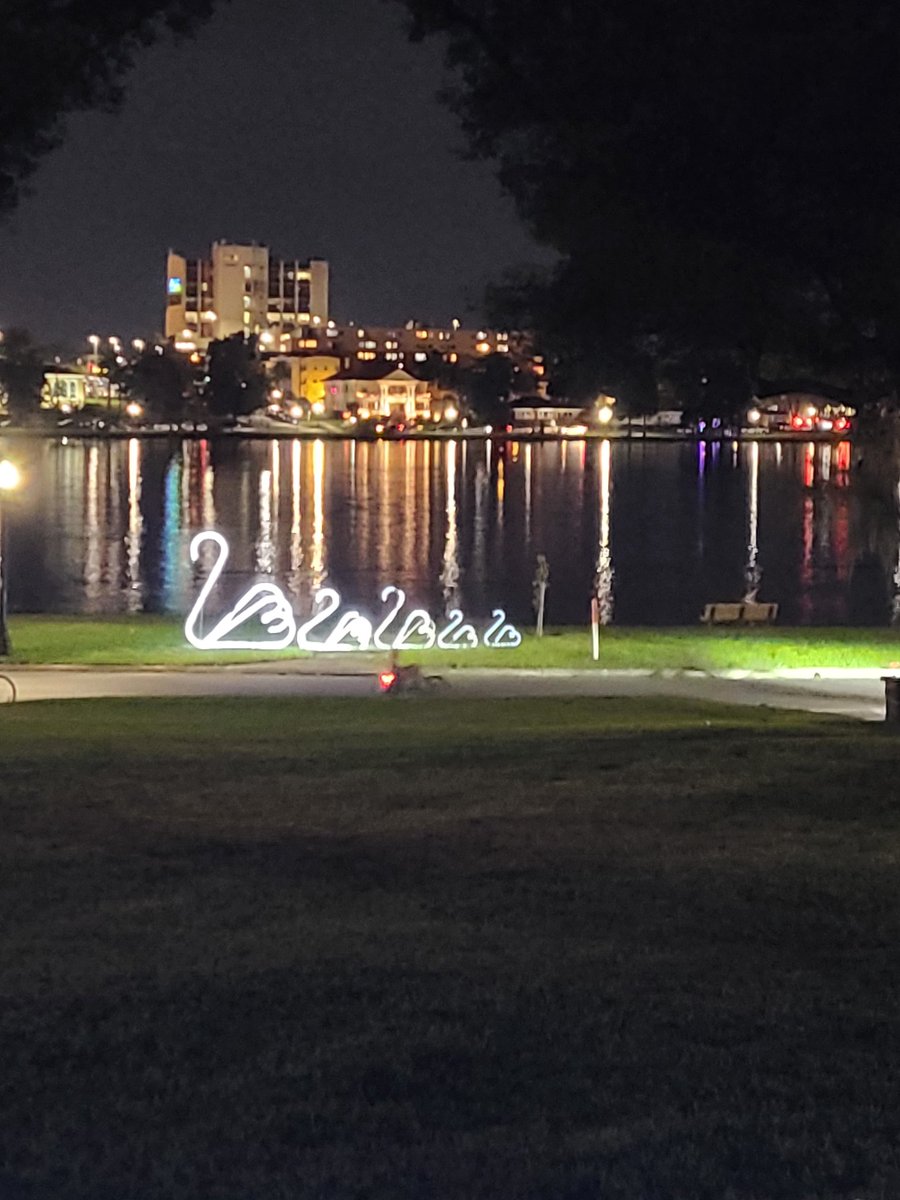 Front porch viewing the start of the Xmas parade in Lakeland and the 25 Swans on Lake Morton. May peace be contagious.