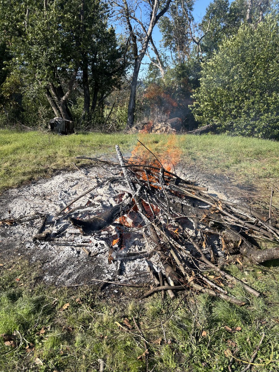 bdbriare's tweet photo. It’s burn season in Cali. Clean up your Sh*t and be a good neighbor. I mean that in the nicest way possible 😁 https://t.co/MJQ9KWUpu5