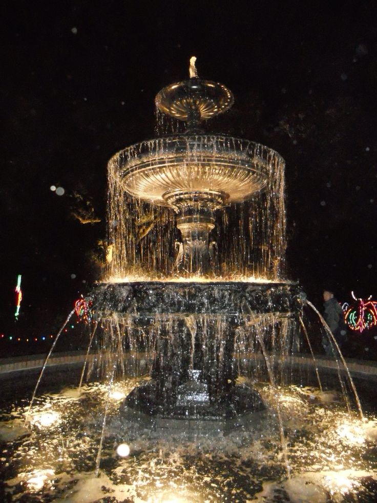 damonktw's tweet image. Local   ⋆.ೃ࿔*:･