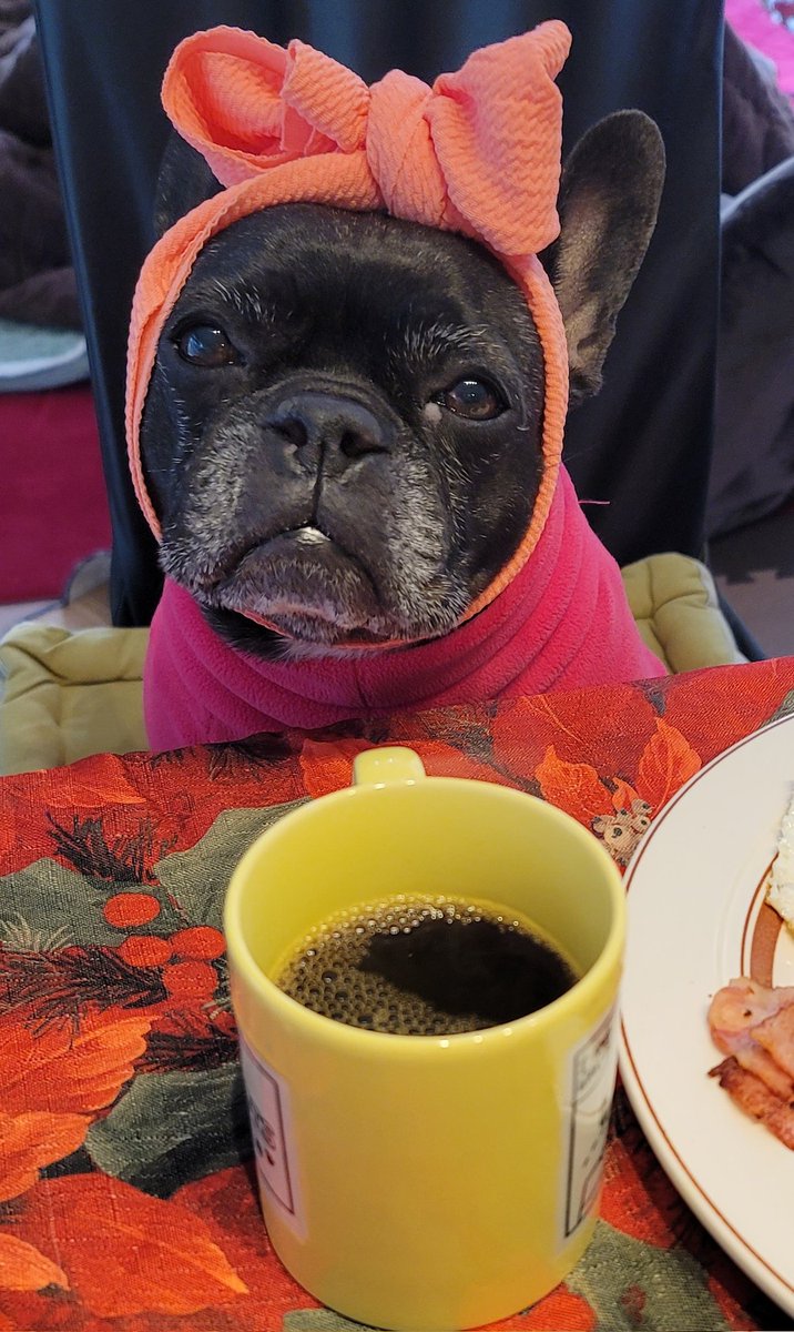 おはなきんでしゅ～💓♥️❤️～
あやめ地方－6ど寒々モーニング
すこし熱めのあやめブレンドめちあがれ☕～💓♥️❤️～