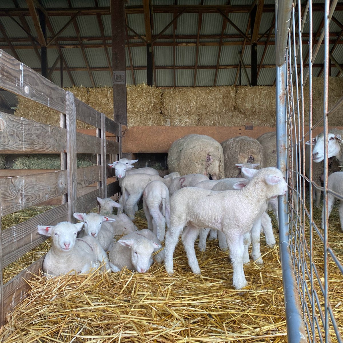 Hopland Research and Extension Center tweet media