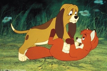 86harls's tweet image. jhugh fox nhisch hound