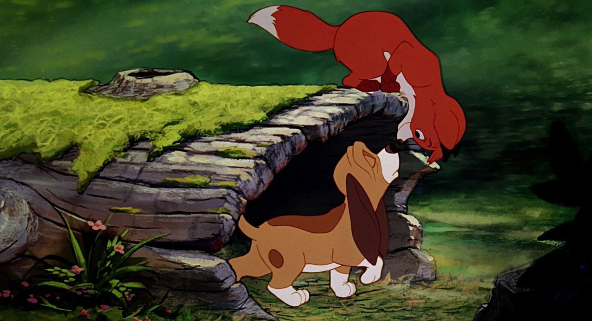 86harls's tweet image. jhugh fox nhisch hound