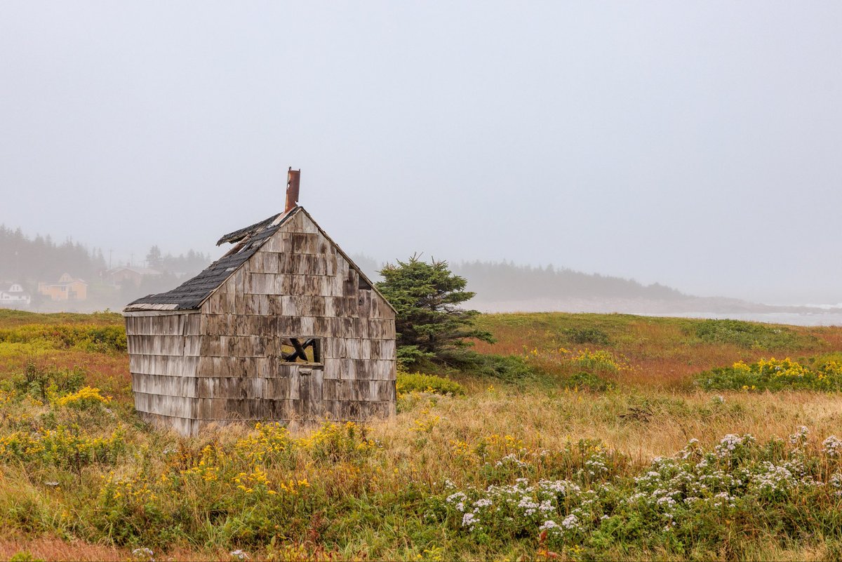 FredOPgh tweet media