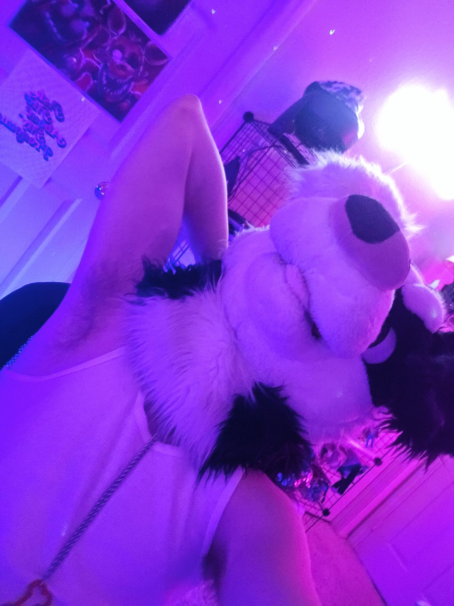 NiallPyroAD's tweet image. Should I post pawbs for 100 followers? 👀