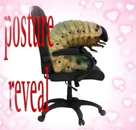 PhoenixFinch_'s tweet image. 