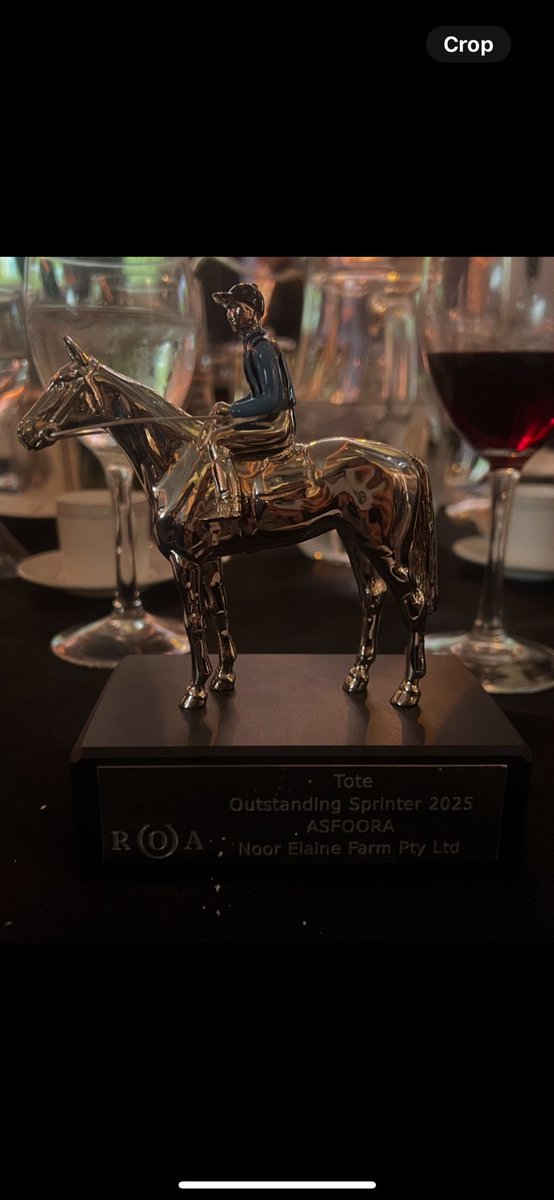 HDwyerRacing's tweet image. Thrilled for our girl #Asfoora ⭐️ being crowned the @ToteRacing Outstanding Sprinter at the @RacehorseOwners Awards 🩵🖤🩵🖤
Our European team were in strong form to represent us! 🍻🥂🎉