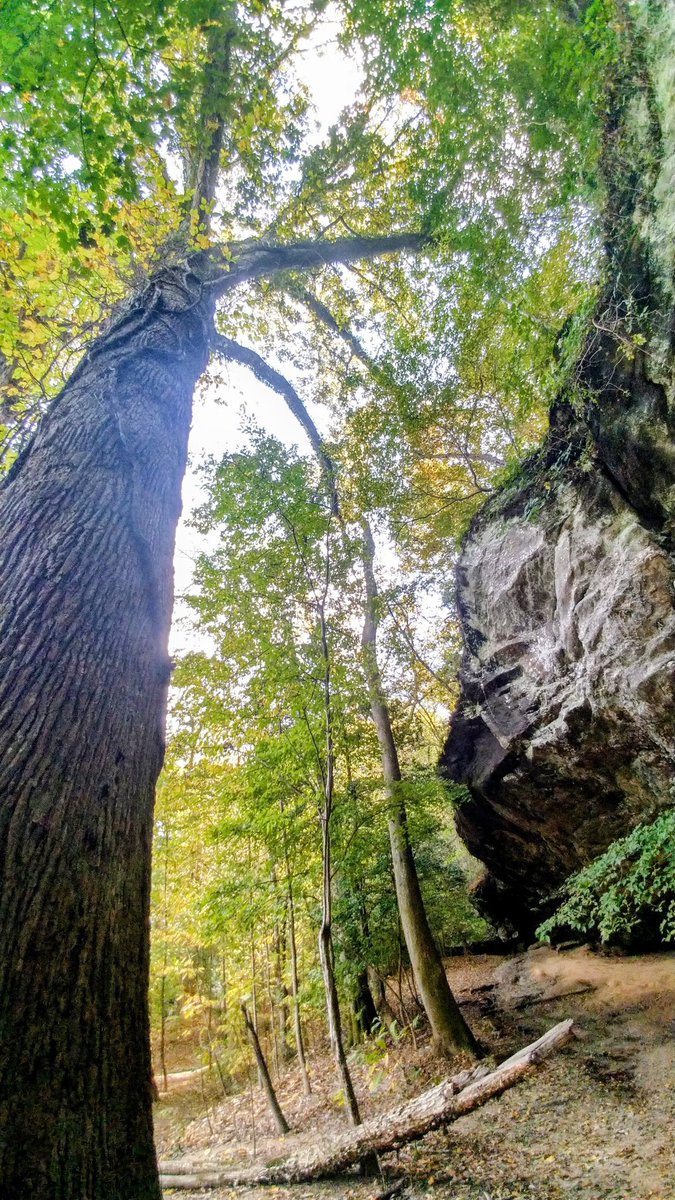 5 de outubro de 2020, acampei no Parque Estadual Raven Rock depois de finalmente vencer a escassez de caiaques infláveis