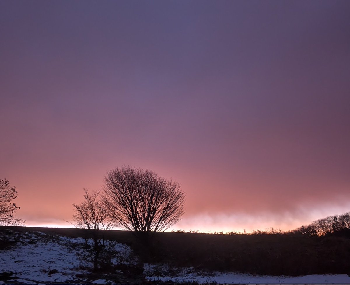 あかべこ丸 tweet media