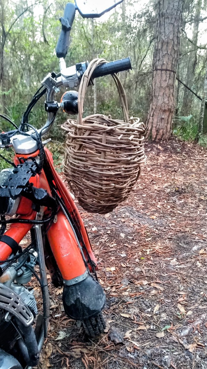 7 de março de 2021. Depois de tirar minha carteira de motorista e minha permissão para pilotar motocicleta, batizei a mo