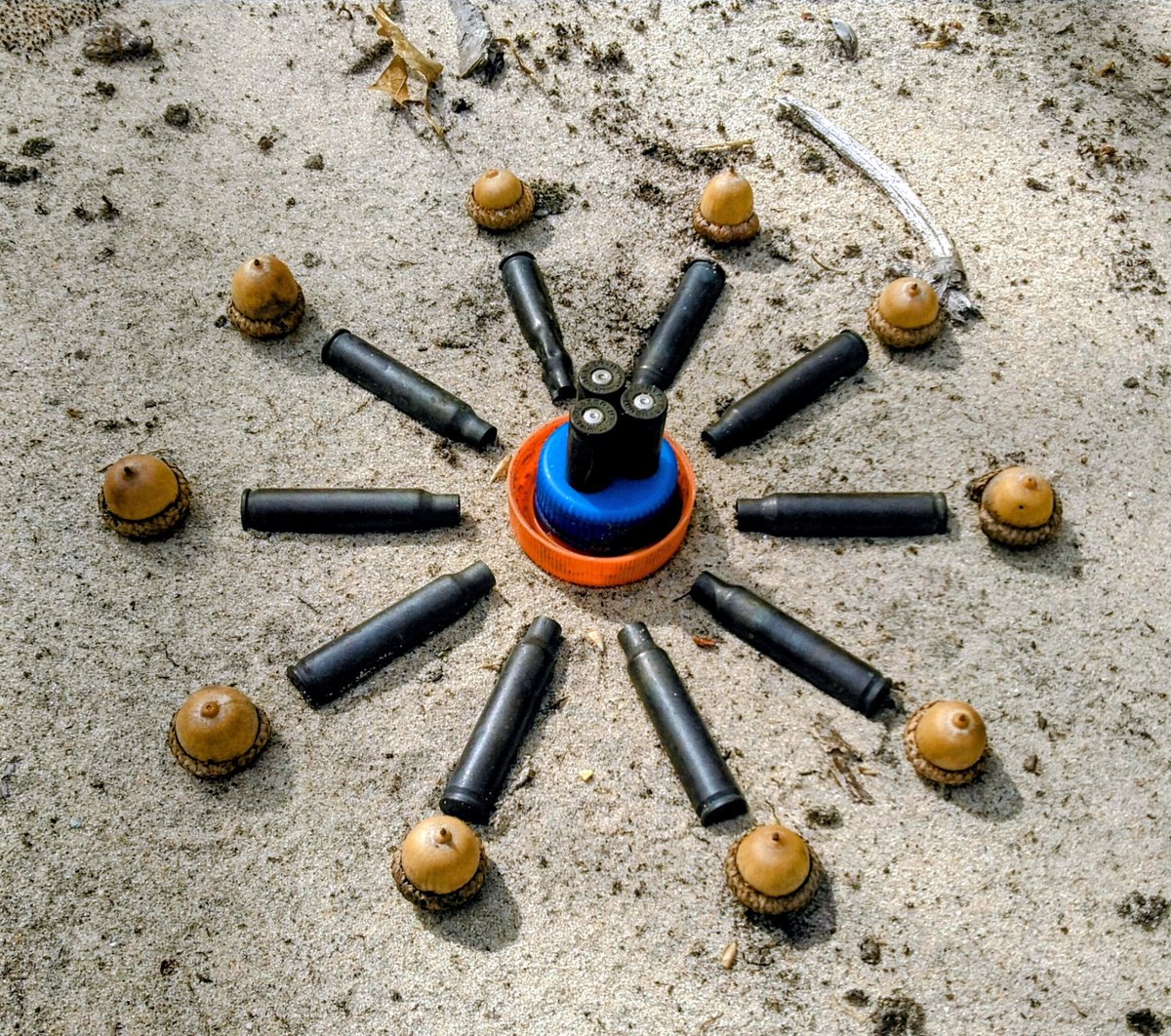 8. Decidi dar uma volta pelos EUA com a Punkin, ficando na casa de amigos e acampando em florestas nacionais (que eram g