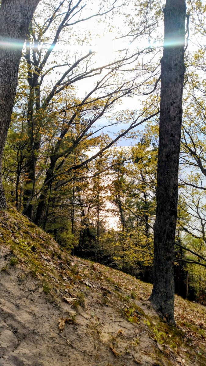 8. Decidi dar uma volta pelos EUA com a Punkin, ficando na casa de amigos e acampando em florestas nacionais (que eram g