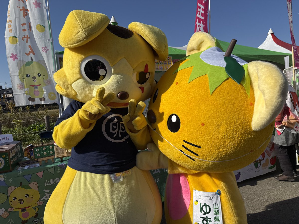 💛ゆずにち ✌🏼✌🏼 #富士川町 #ゆずにゃん