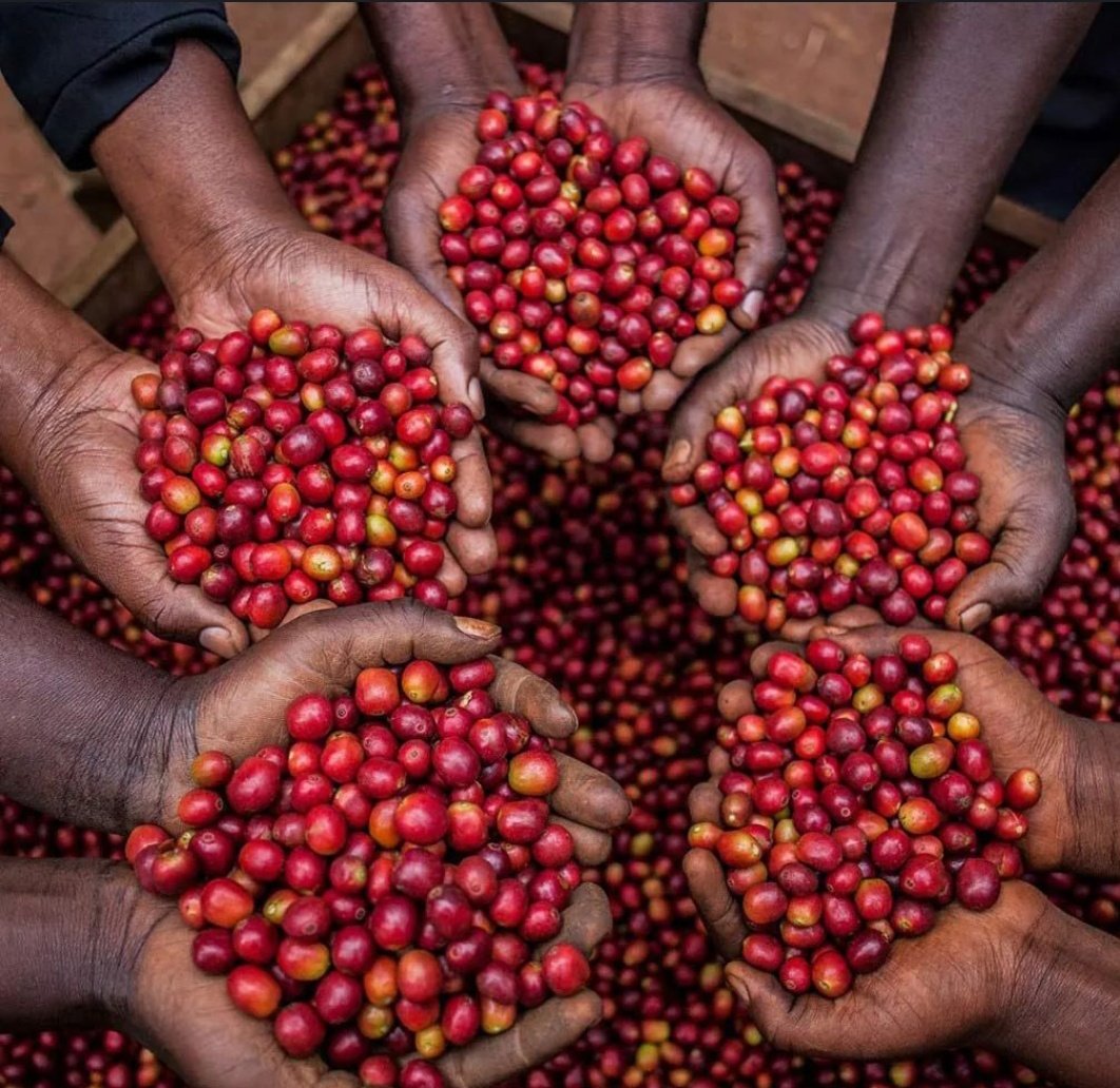 Farming thrives through collaboration, making agricultural practices more efficient and sustainable. Let's appreciate the hardworking farmers whose dedication and teamwork continually nourish and feed our nation, exemplifying unity, resilience, and commitment to food security for