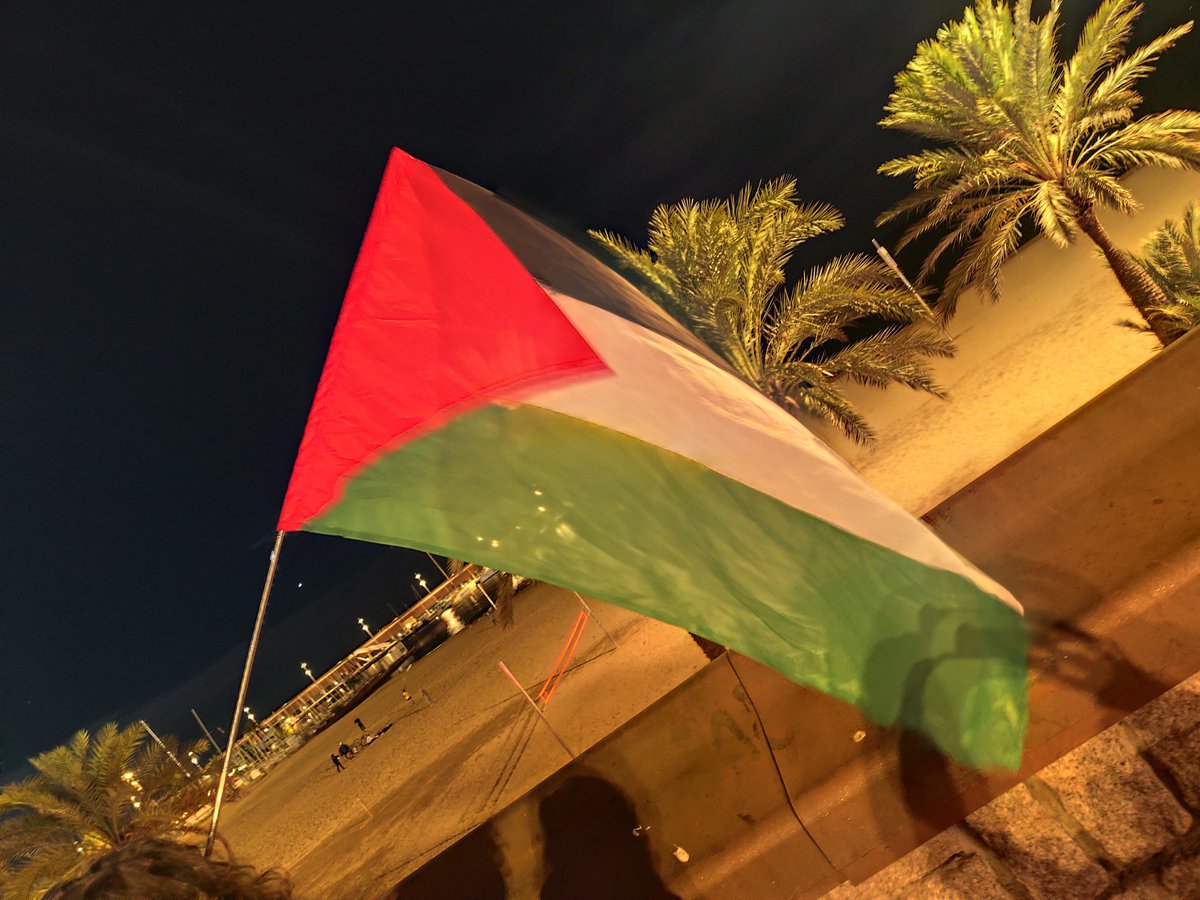 Alfonsiaio's tweet image. Avui hem participat en aquest acte al Port de Barcelona a on l'empresa #HPE complís del #GenocidiIsraelià a #PalestinaLliure , feien una festa al port, no érem moltes però fèiem soroll i ens fèiem veure.