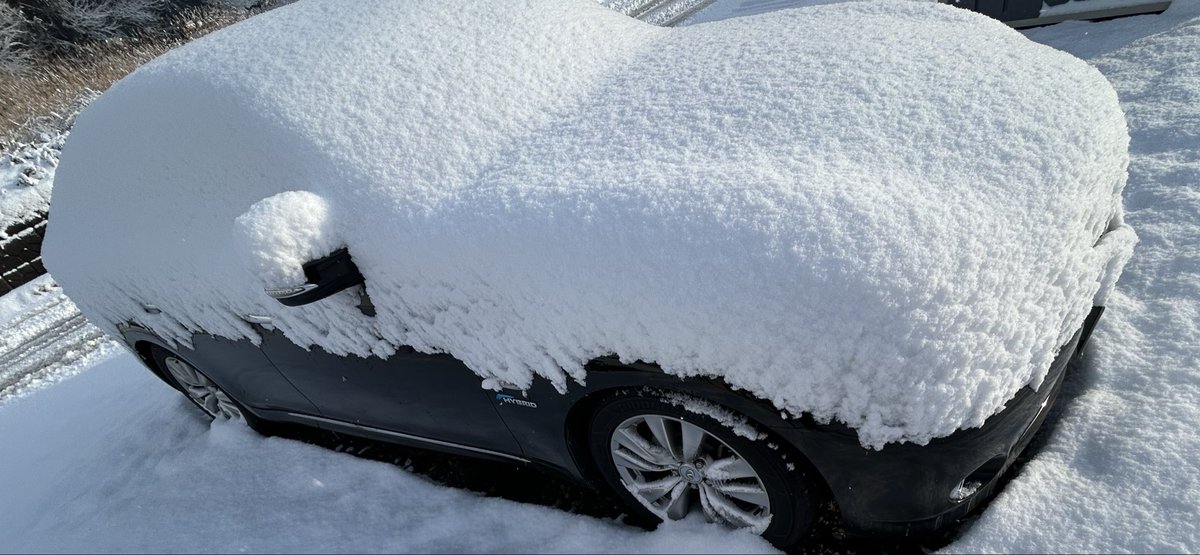 おーーーーい‼️草