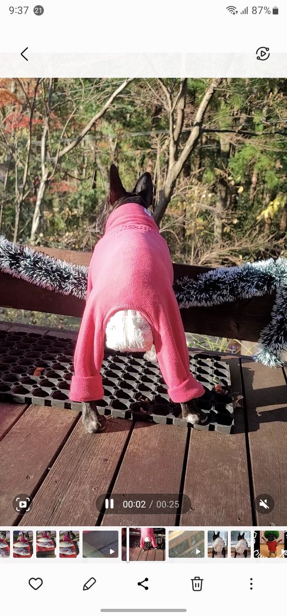 今日も元気にあやそっく。