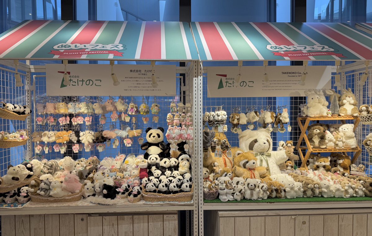 🎀 遂に、本日10時より『ぬいフェス2025』はじまります！ 🎀 たけのこ