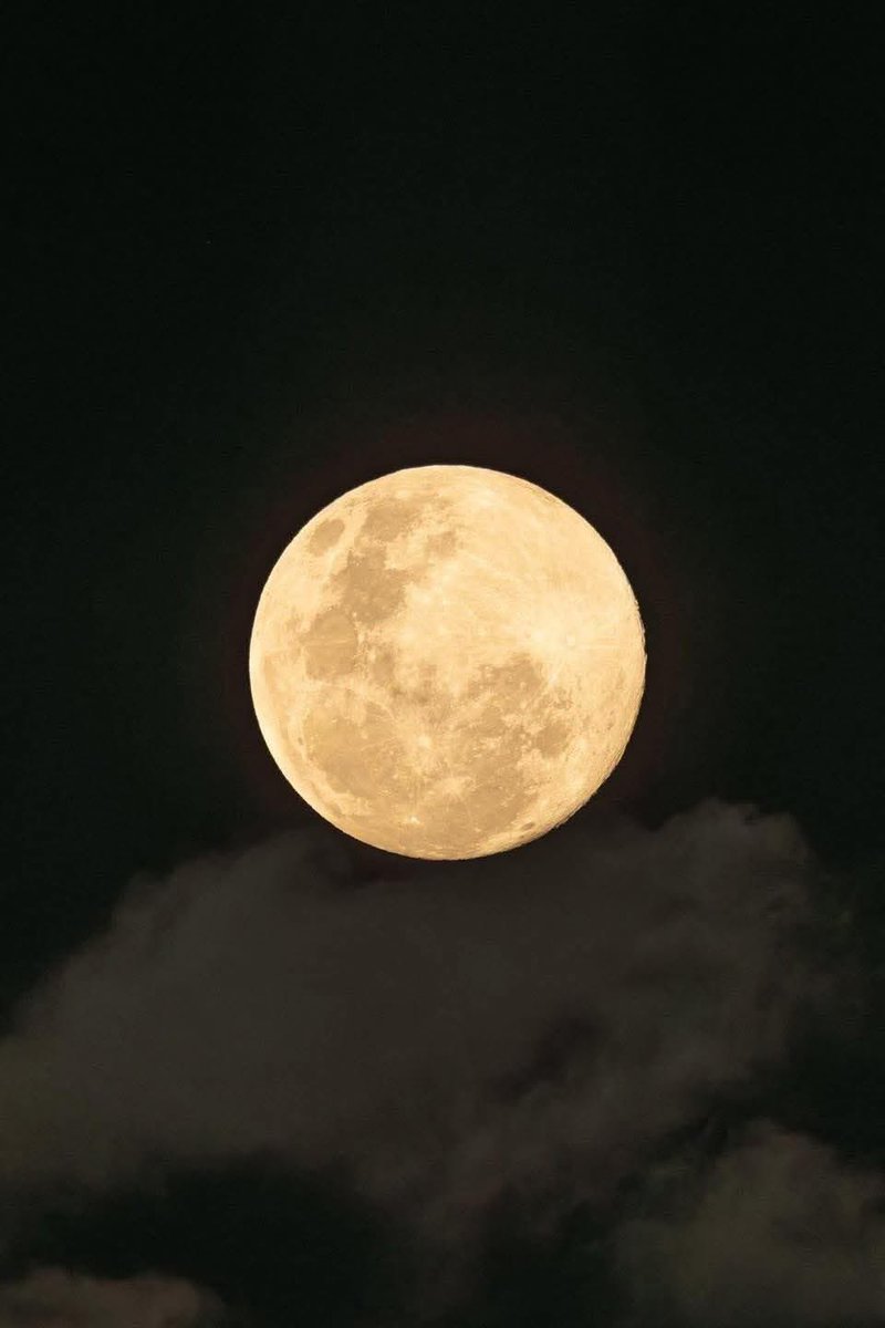 TijuanaLocal's tweet photo. Salgan a ver la luna #Tijuana 
📷 Yocvani Sánchez https://t.co/a23YDolHLu