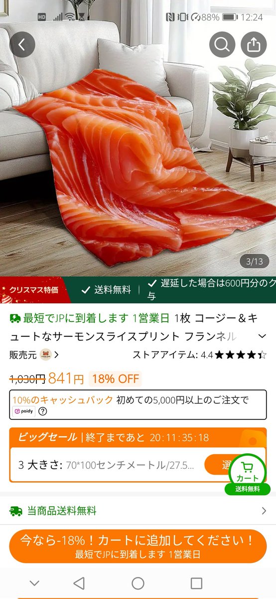 サーモン好きですが まさかこんな商品があるなんて