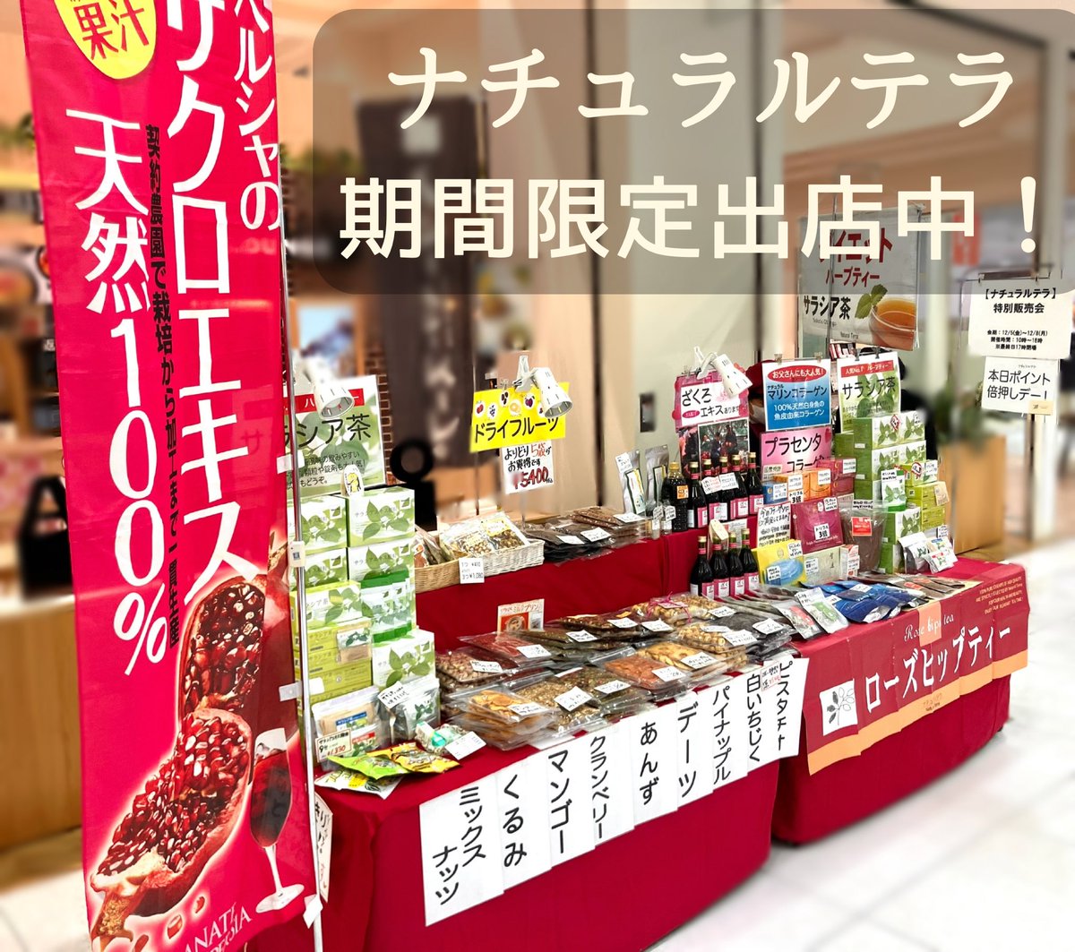 ナチュラルテラ特別販売会🌱】 12/5(金)〜12/8(月) 10:00〜18:00