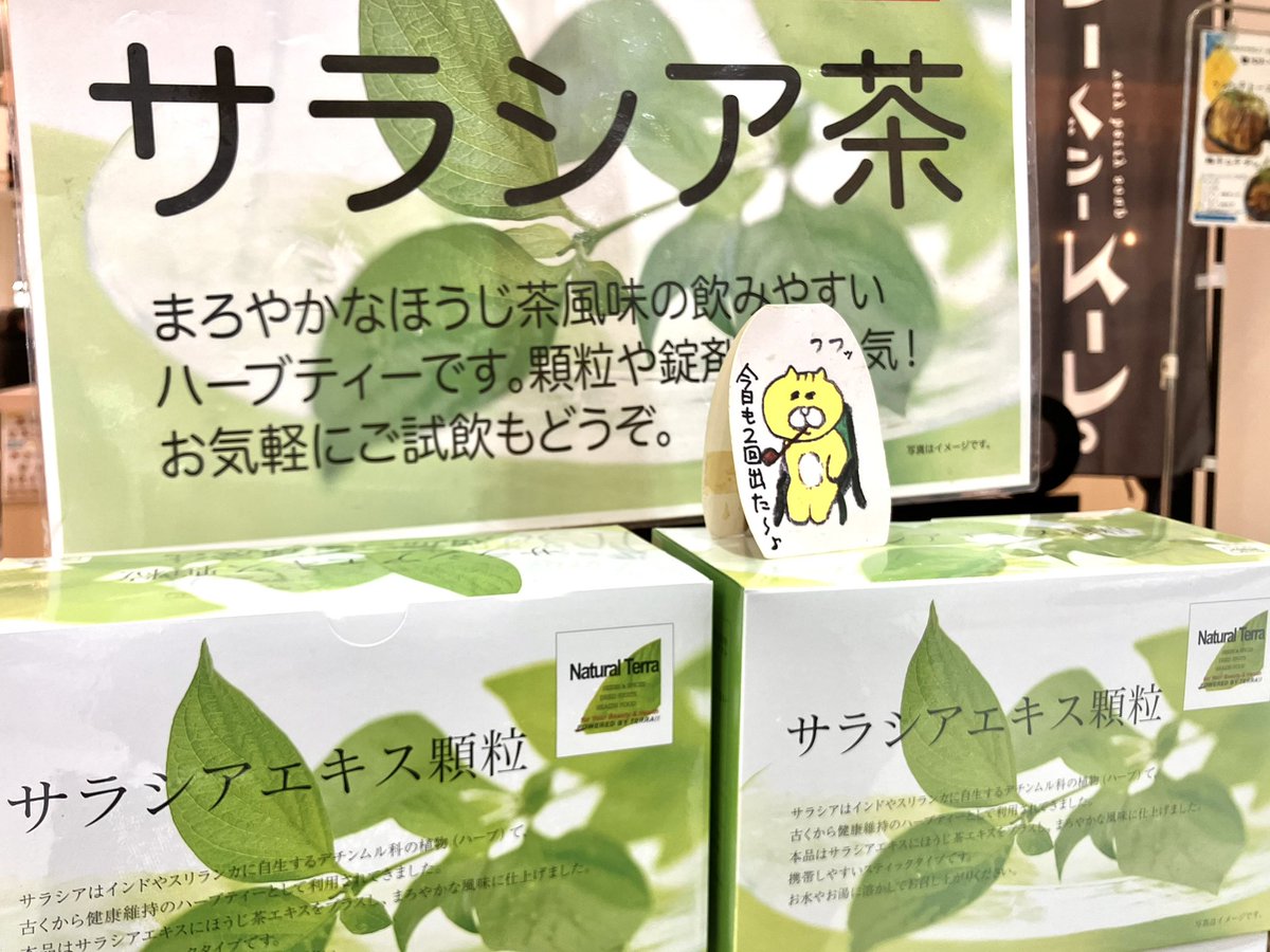 ナチュラルテラ特別販売会🌱】 12/5(金)〜12/8(月) 10:00〜18:00