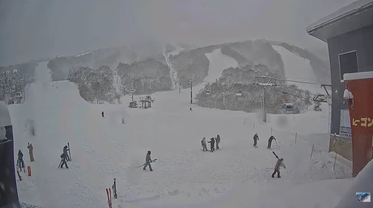 ライブカメラDB (@livecam_db) / Posts / X