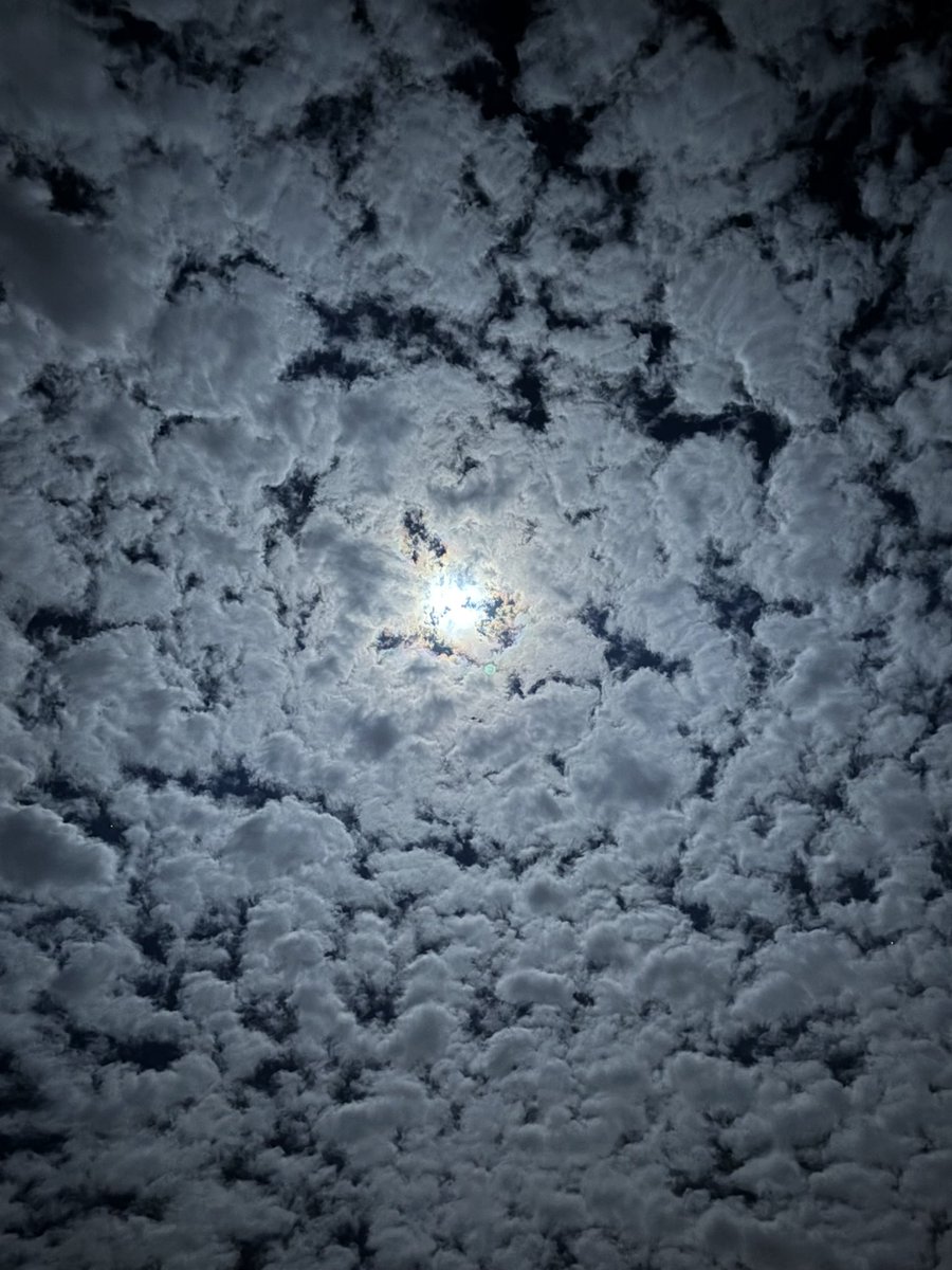 fafafaOctober's tweet image. 