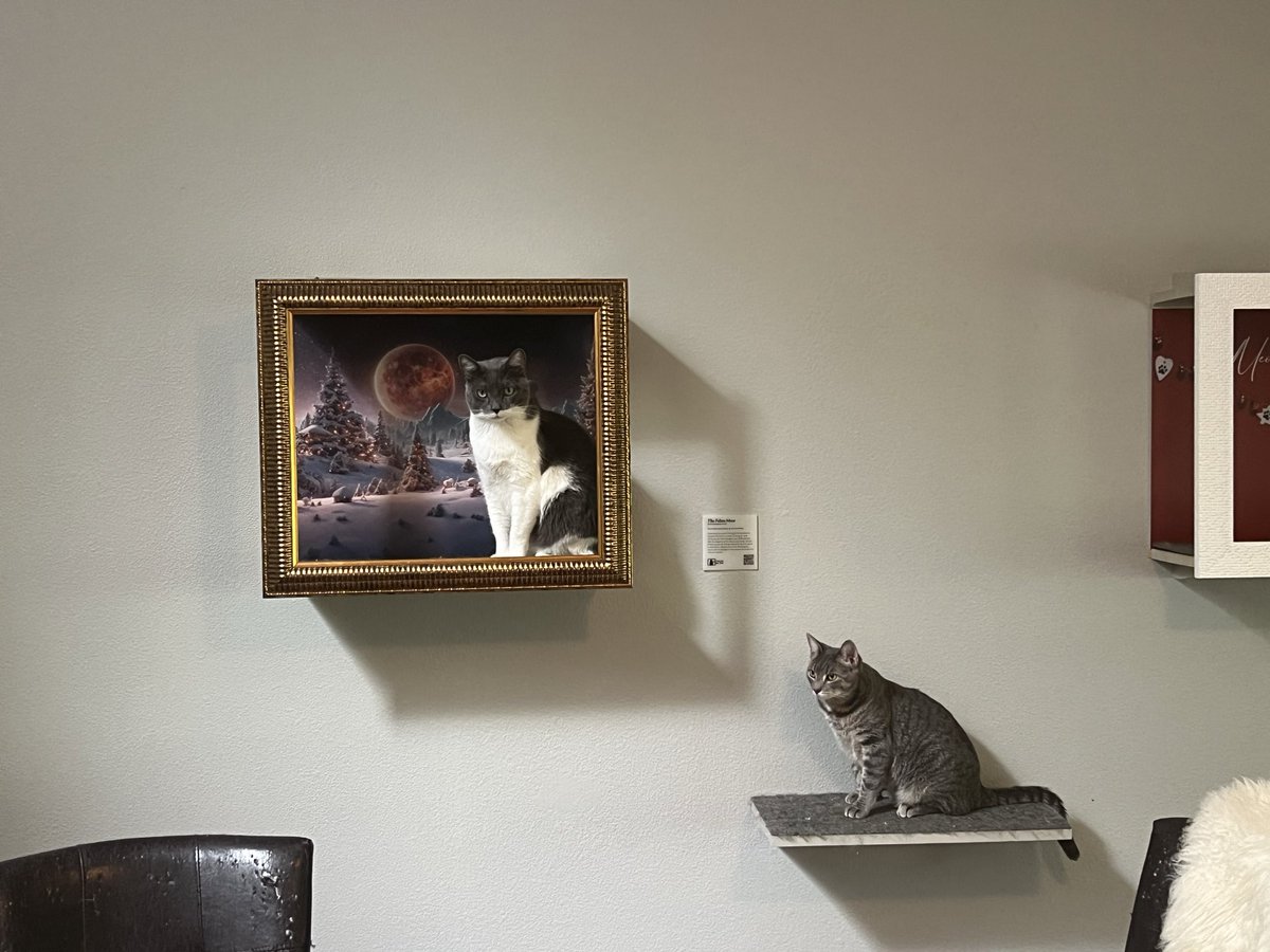 Frame Your Feline tweet media