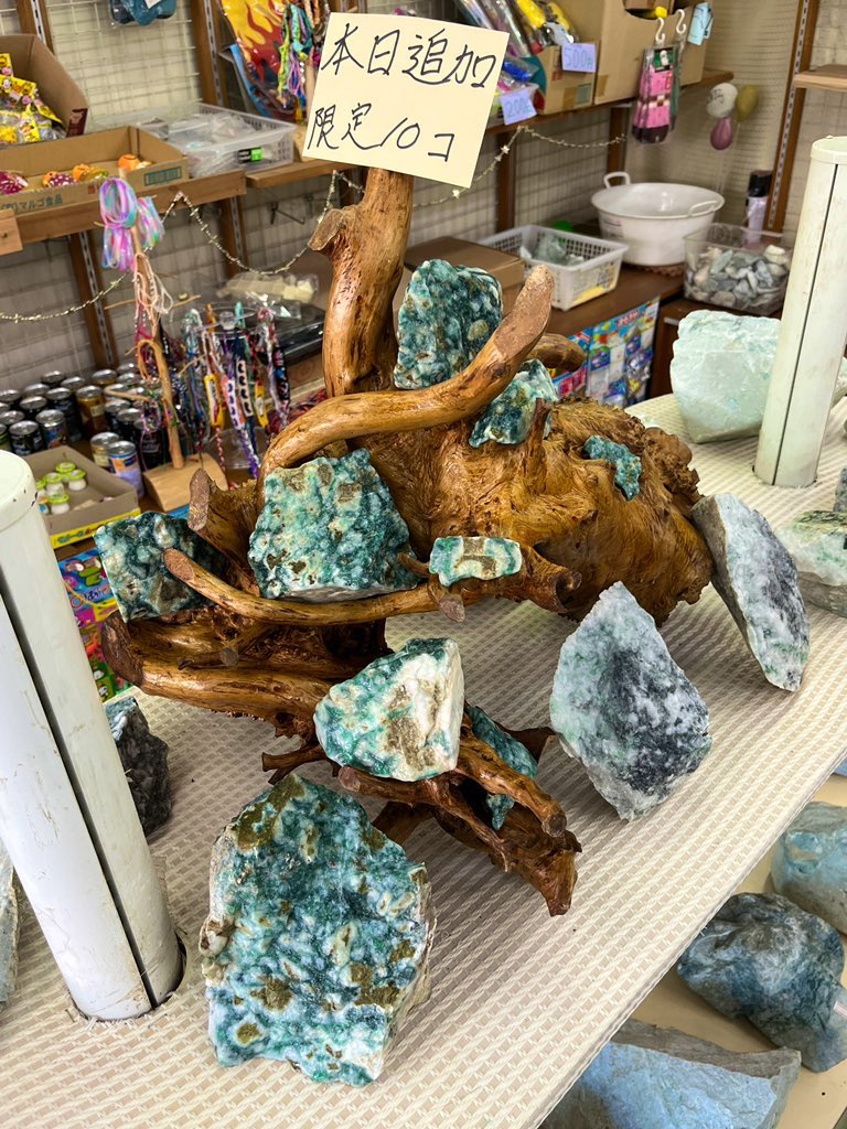 12月のご案内】 12月6日7日北信越大会の為お休み。 12月13日14日卓球