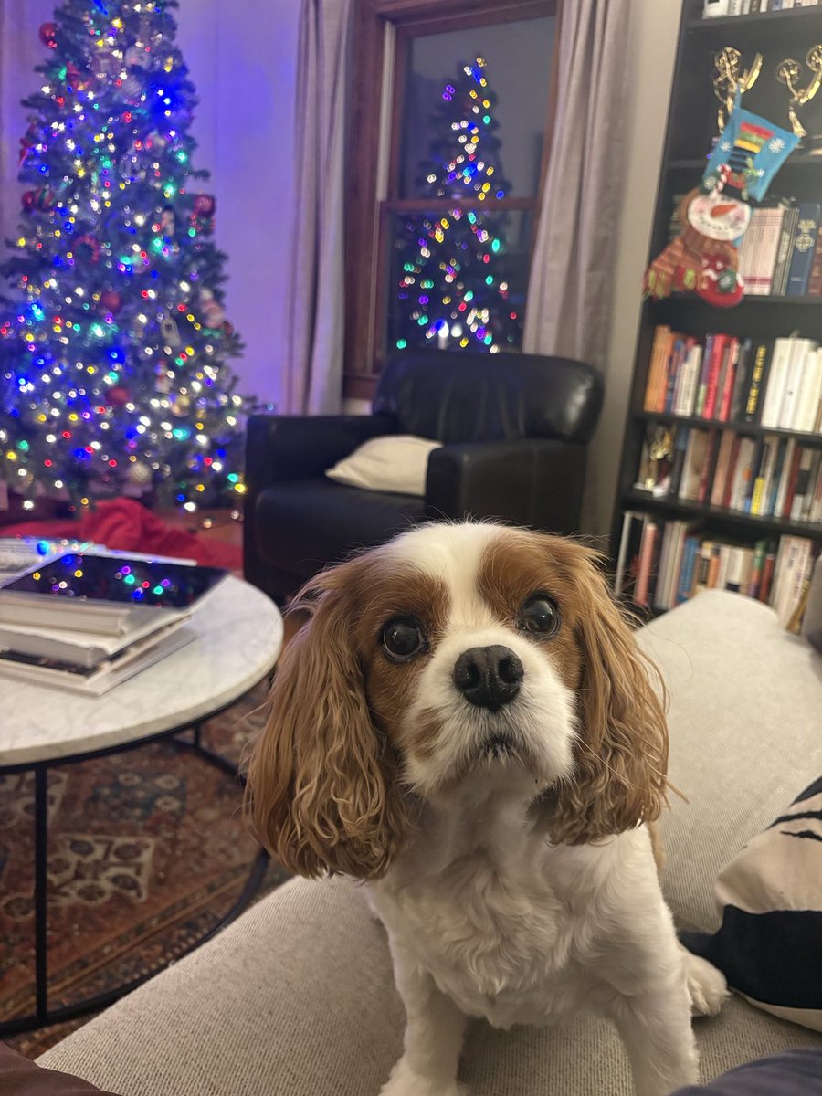 Michael Castrilli tweet media