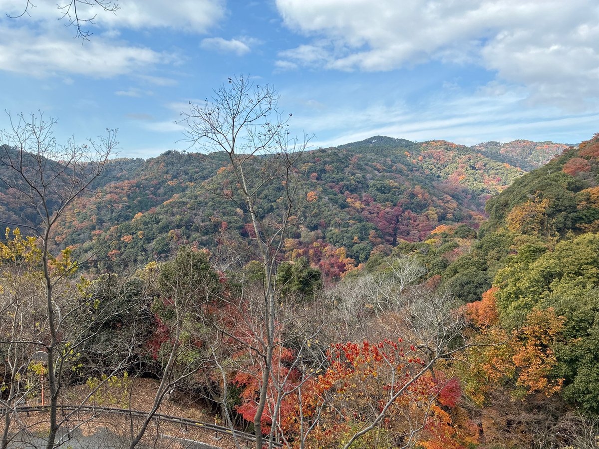 gonmizaka's tweet photo. 🍁⛰️ https://t.co/QedaC0Qtsc