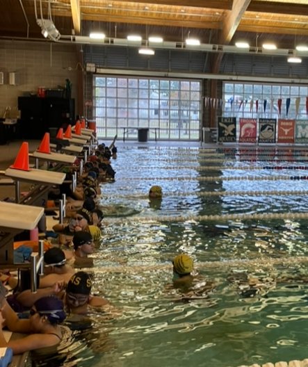 Pasadena ISD Aquatics tweet media