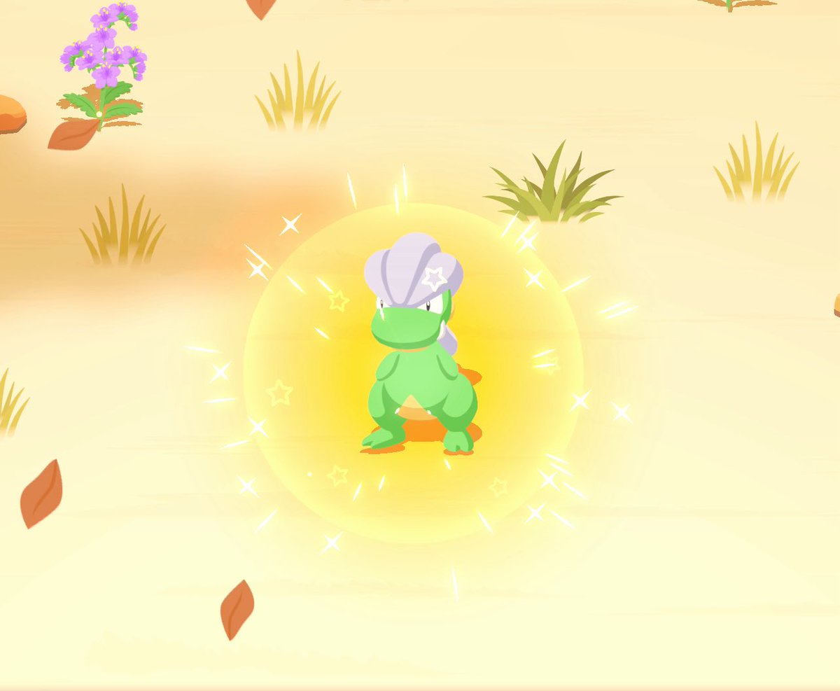 色違いやったー！